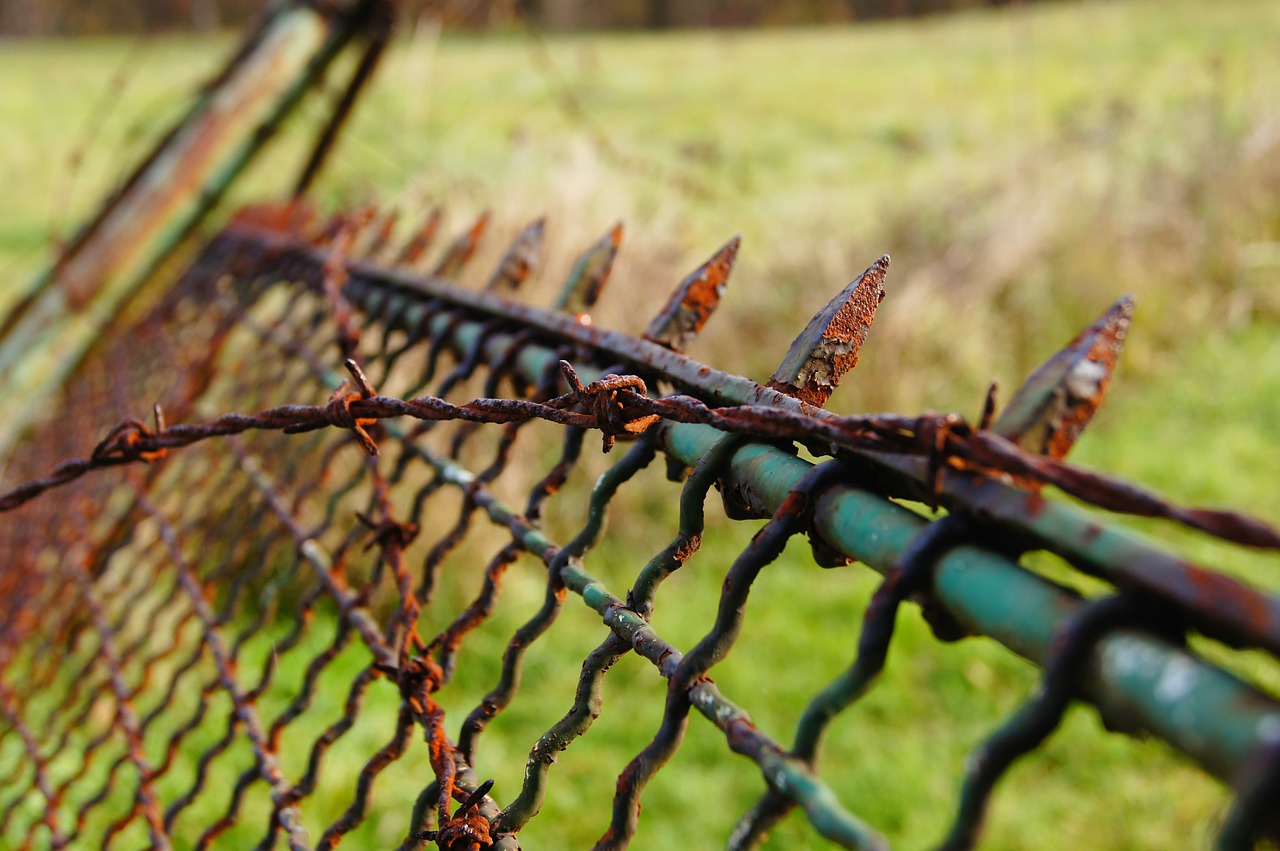 Nerūdijantis, Pažymėtas, Tvora, Spygliuota Viela, Rusted, Metalas, Erškėtis, Nemokamos Nuotraukos,  Nemokama Licenzija