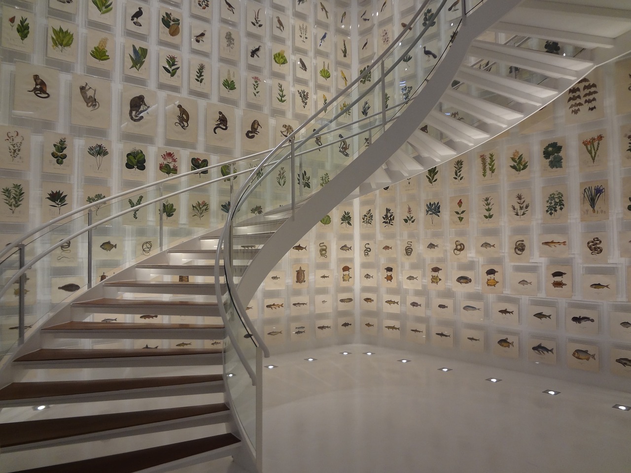 Laiptai, Brazilijos Kolekcija, Kultūros Institutas Itaú, San Paulas , Royalty Free, Nemokamos Nuotraukos,  Nemokama Licenzija