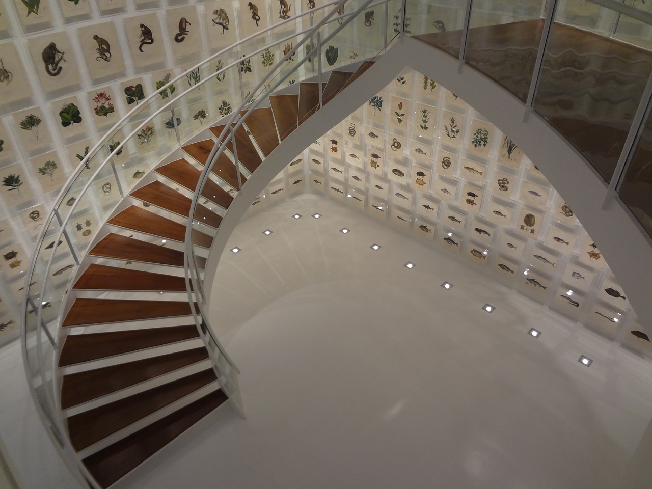 Laiptai, Kultūros Institutas Itaú, San Paulas Brazilijos Kolekcija, Royalty Free, Nemokamos Nuotraukos,  Nemokama Licenzija
