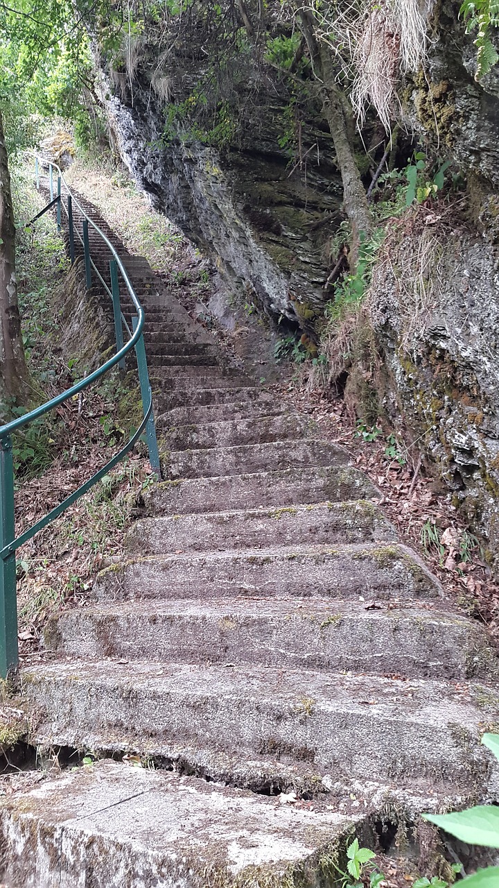 Laiptai, Akmenys, Miškas, Turėklai, Šaknis, Žemė, Kelias, Vaizdas, Mistinis, Gamta