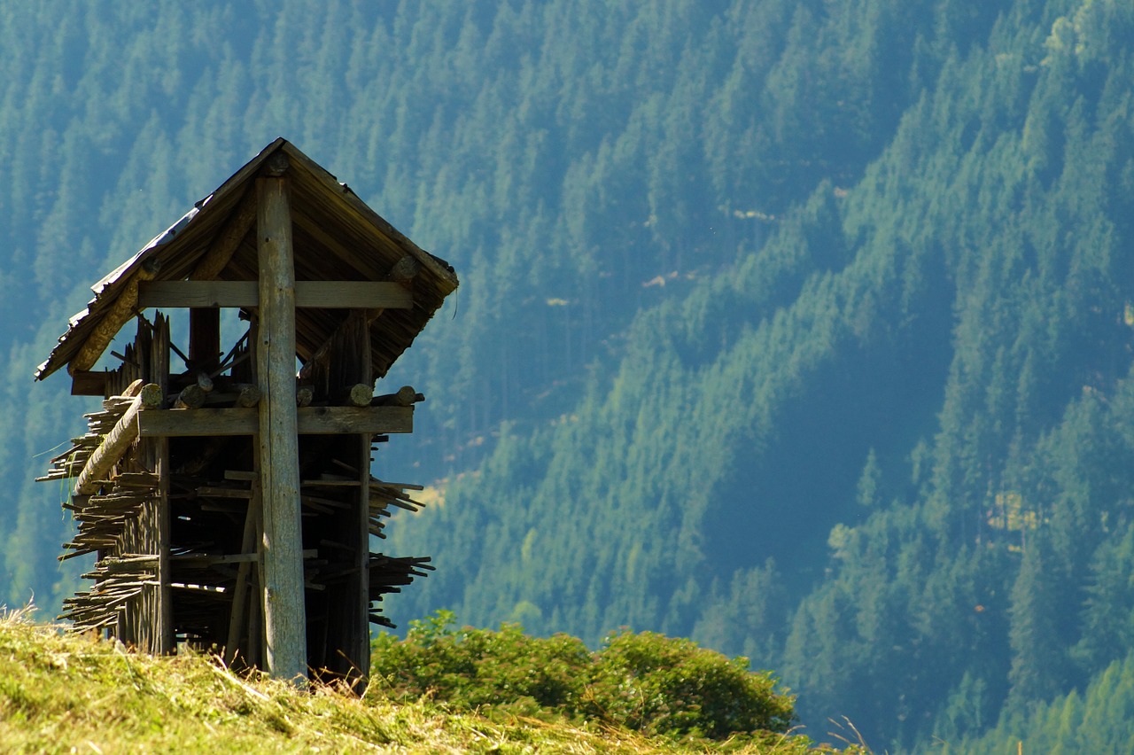 Stangrumas, Gamta, Žolė, Laukas, Pieva, Vasara, Vasaros Pieva, Kalnai, Kraštovaizdis, Tyrol