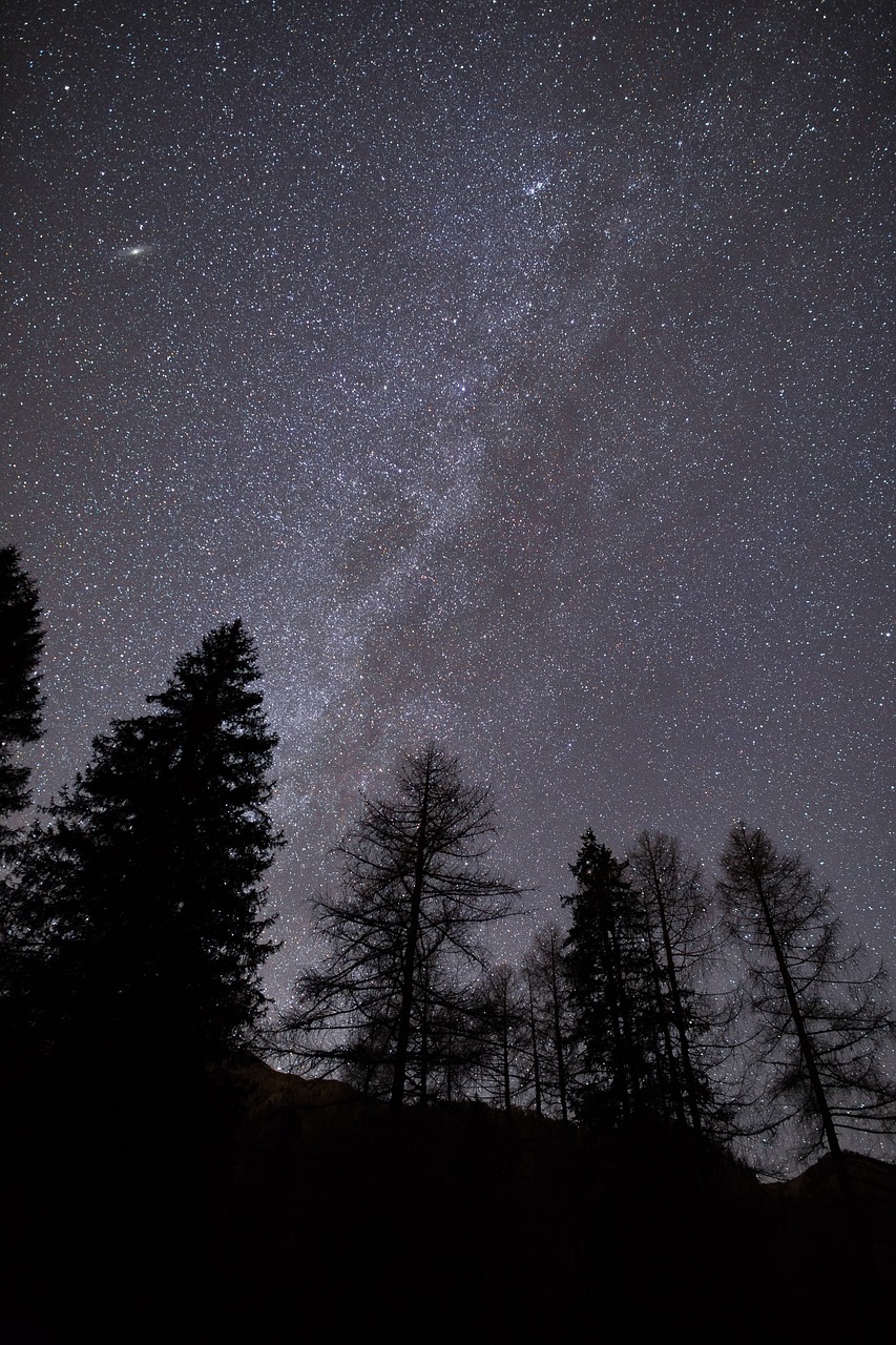 Žvaigždės, Tamsi, Naktis, Žvaigždynas, Gamta, Astrofotografija, Medžiai, Miškai, Nemokamos Nuotraukos,  Nemokama Licenzija