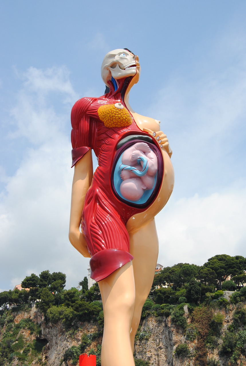 Statula, Monaco, Okeanografijos Muziejus, Damien Hirstas, Paroda, Nėščia, Vaikas Viduje, Žmogus, Anatomija, Nemokamos Nuotraukos
