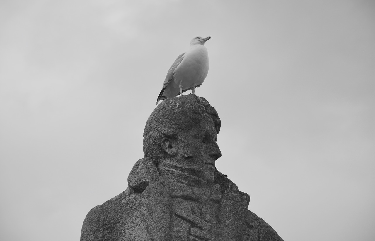 Statula, François René Châteaubriant, Kajakas, Saint Malo, Turizmo Miestas, Jūros Paukštis, France, Nemokamos Nuotraukos,  Nemokama Licenzija