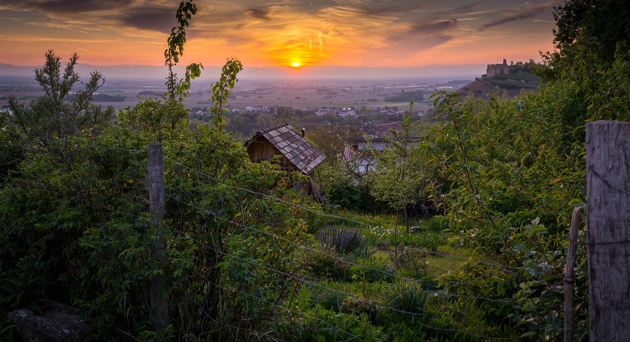 Staufen, Staufen Im Brisgau, Plaukti, Baden-Viurtembergas, Südbaden, Fribourg, Markgraeflerland, Schauinsland, Reino Slėnis, Senamiestis