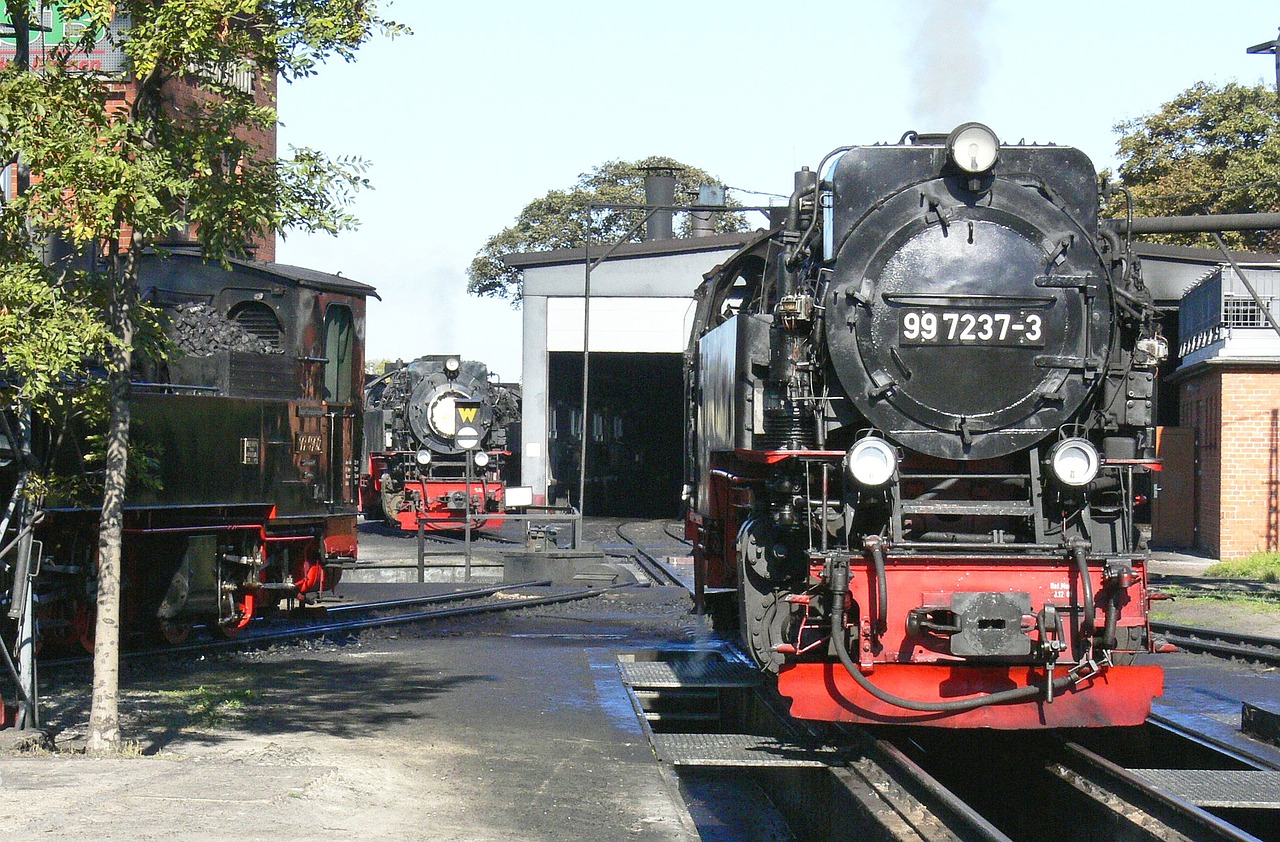 Garo Lokomotyvas, Derva, Wernigerode, Bahnbetriebswerk, Ausschlackgrube, Lokomotyvai, Siauras Gabaritas, Metro Takelis, Geležinkelis, Siaurojo Geležinkelio