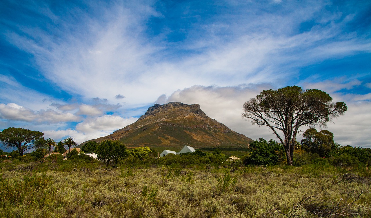 Stellenbosch, Kalnas, Viršūnė, Afrika, Peizažas, Mėlynas, Dangus, Winelands, Vaizdingas, Ūkis