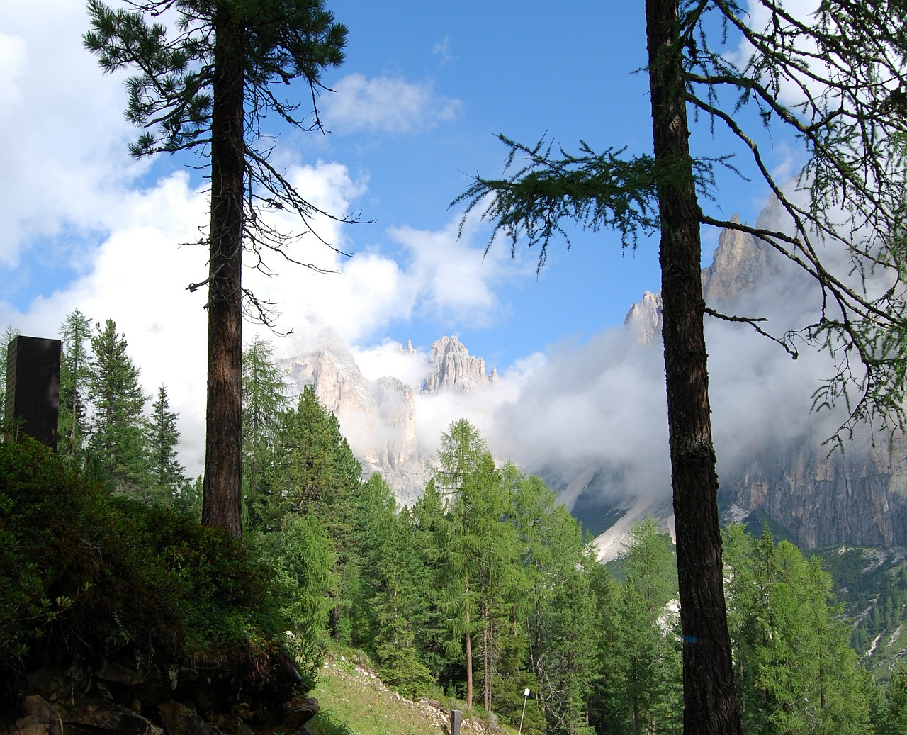 Stiebas, Dolomitai, Kalnas, Medis, Žalias, Dangus, Kraštovaizdis, Gamta, Debesys, Filialas