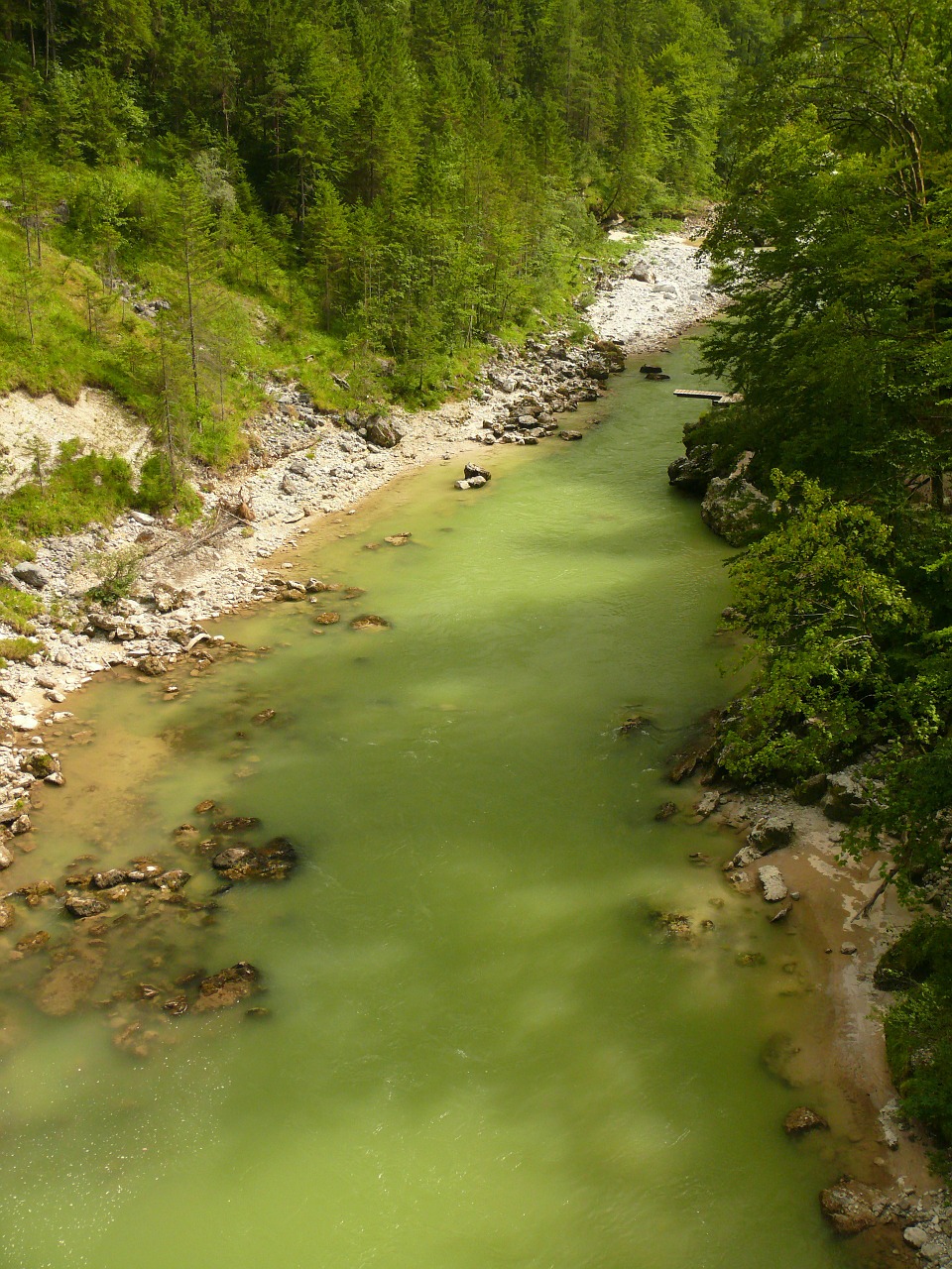 Steyrische Salza, Upė, Austria, Laukiniai, Romantiškas, Nemokamos Nuotraukos,  Nemokama Licenzija