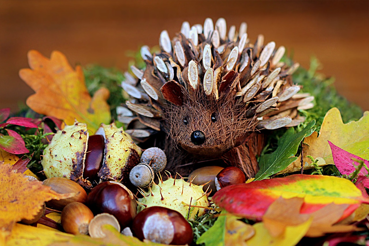 Natiurmortas, Ežiukas, Apdaila, Herbstdeko, Spalvinga, Nemokamos Nuotraukos,  Nemokama Licenzija