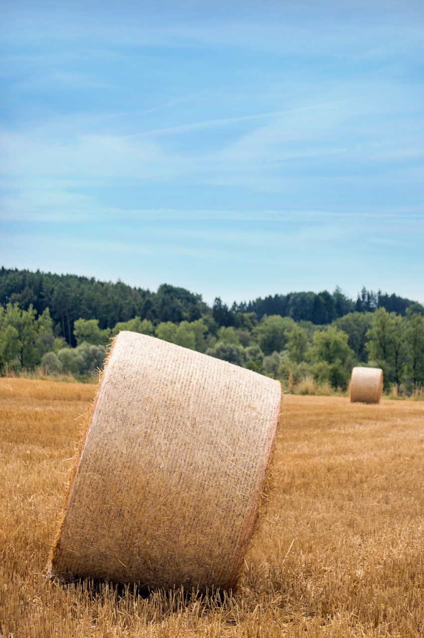 Strohballen,  Šiaudai,  Žemė,  Žemdirbystė,  Derlius,  Auksinis,  Kaimas, Nemokamos Nuotraukos,  Nemokama Licenzija