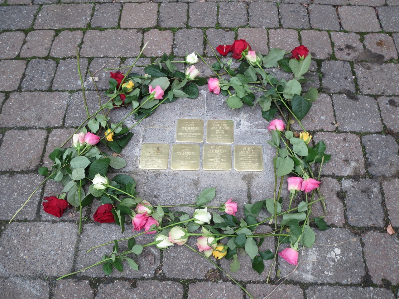 Stolpersteinas,  Hockenheim,  Paminklas,  Kliedesiai,  Holokaustas,  Cenotafas,  Atminimas,  Žalvaris,  Vokietija, Nemokamos Nuotraukos