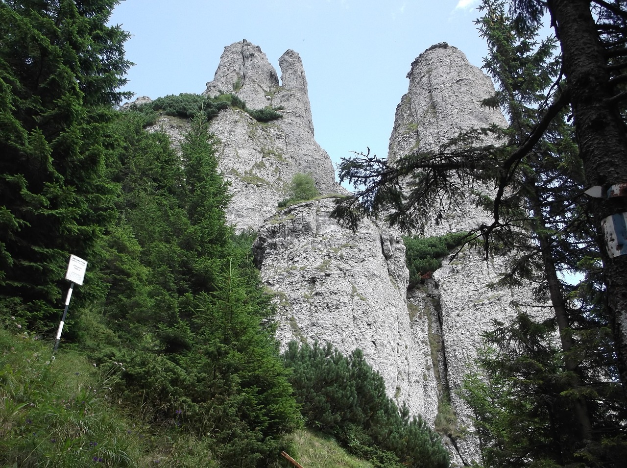 Akmuo, Romanija, Kalnas, Turizmas, Kelionė, Kraštovaizdis, Gamta, Natūralus, Rokas, Įspūdingas