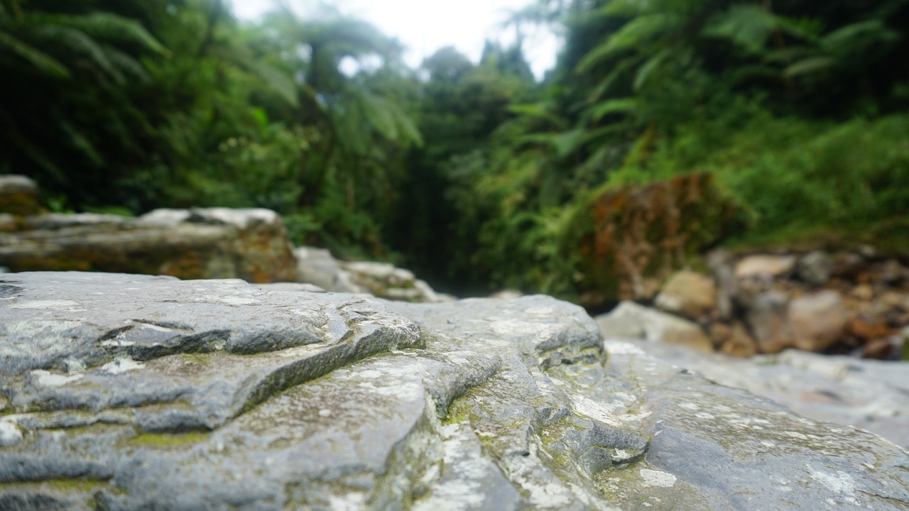 Akmuo, Gamta, Bogor, Vanduo, Longexposure, Indonesian, Nemokamos Nuotraukos,  Nemokama Licenzija