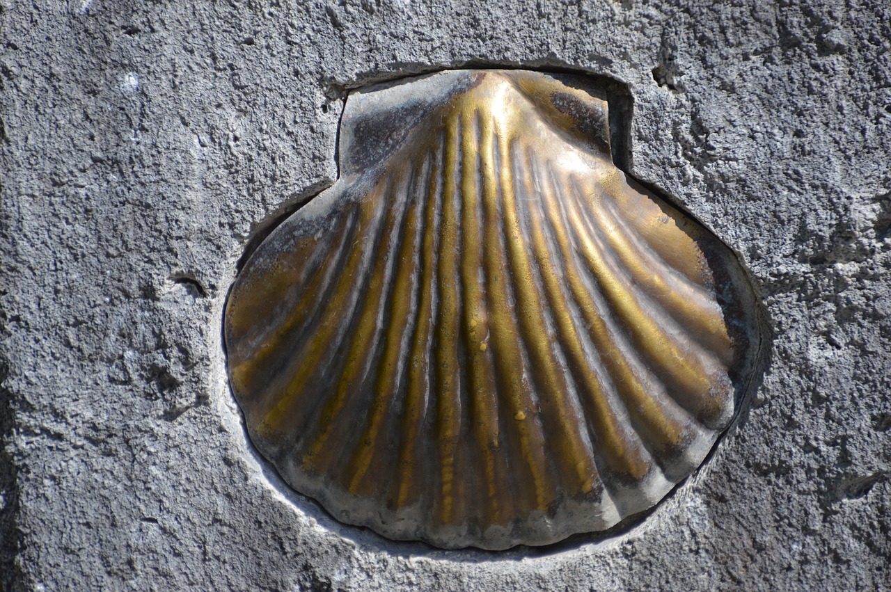 Shell stone