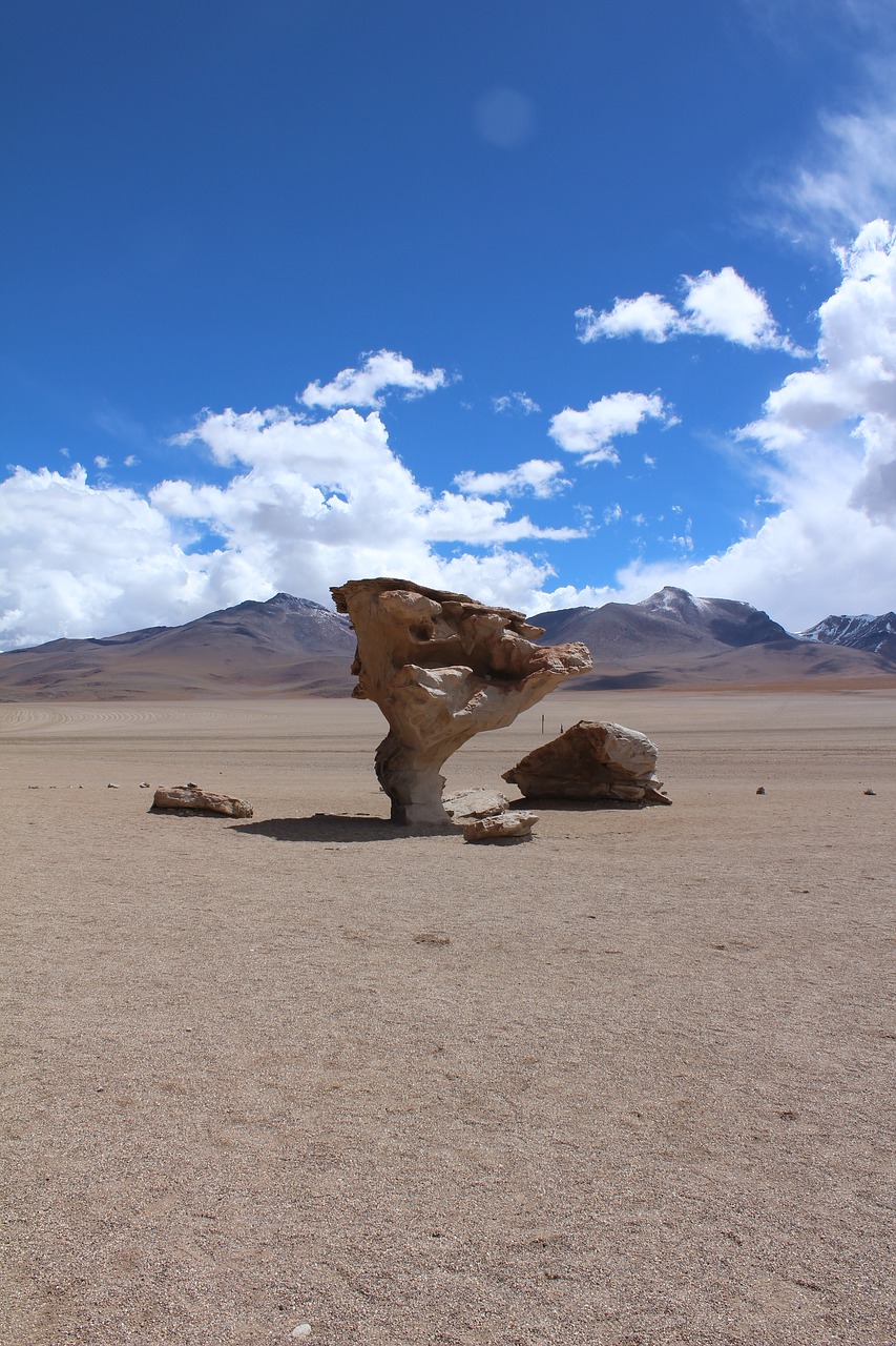 Akmens Medis, Bolivija, Kelionė, Nemokamos Nuotraukos,  Nemokama Licenzija
