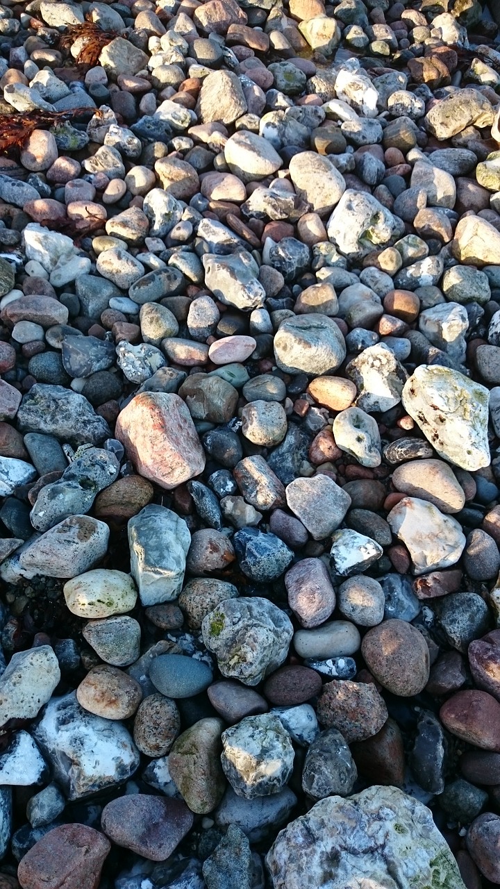 Akmenys, Baltijos Jūros Paplūdimys, Danijos Baltijos Jūros Pakrantė, Nemokamos Nuotraukos,  Nemokama Licenzija