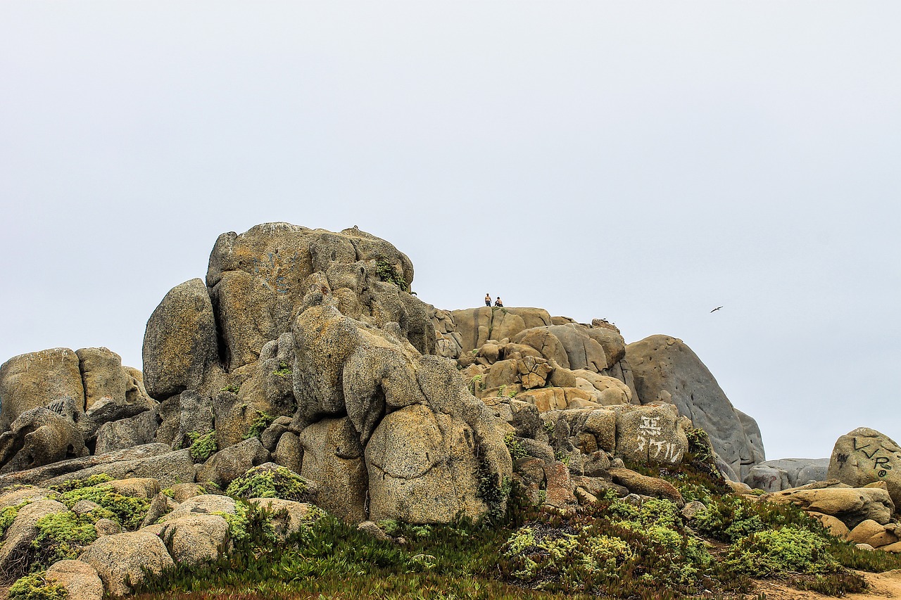 Akmenys, Punta De Tralca, Čile, Nemokamos Nuotraukos,  Nemokama Licenzija
