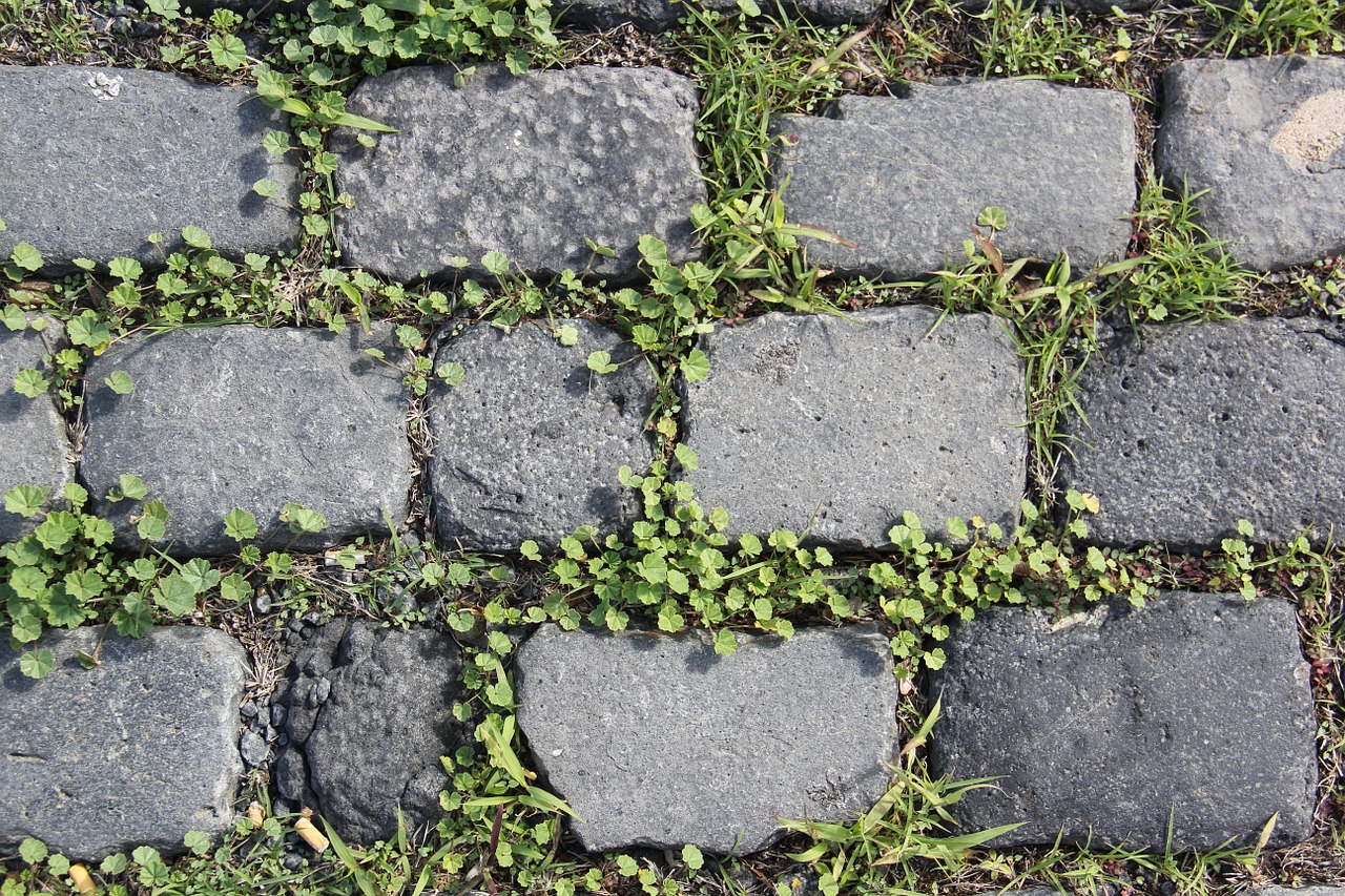 Akmenys,  Fonas,  Akmuo,  Tekstūra,  Gamta,  Žolė,  Augalai, Nemokamos Nuotraukos,  Nemokama Licenzija