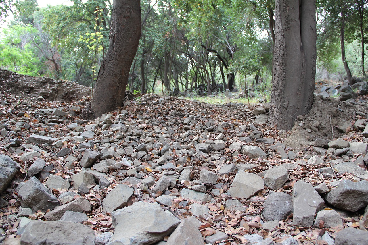 Cajon Del Maipo, Akmenys, Miškas, Kelias, Gamta, Takas, Kraštovaizdis, Medžiai, Žalias, Vaikščioti