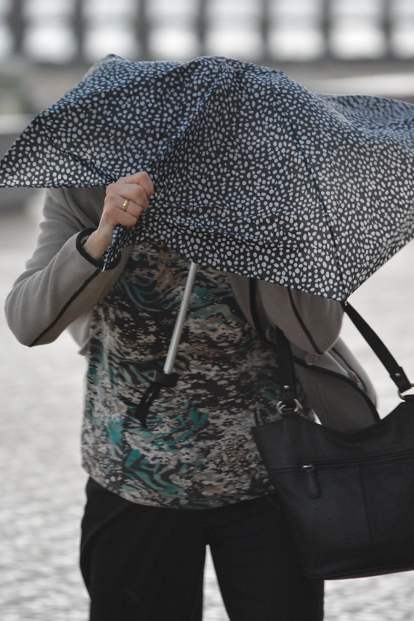 Audra, Vėjas, Parapluie, Lietaus Danga, Žmonės, Lietus, Apsauga, Nemokamos Nuotraukos,  Nemokama Licenzija