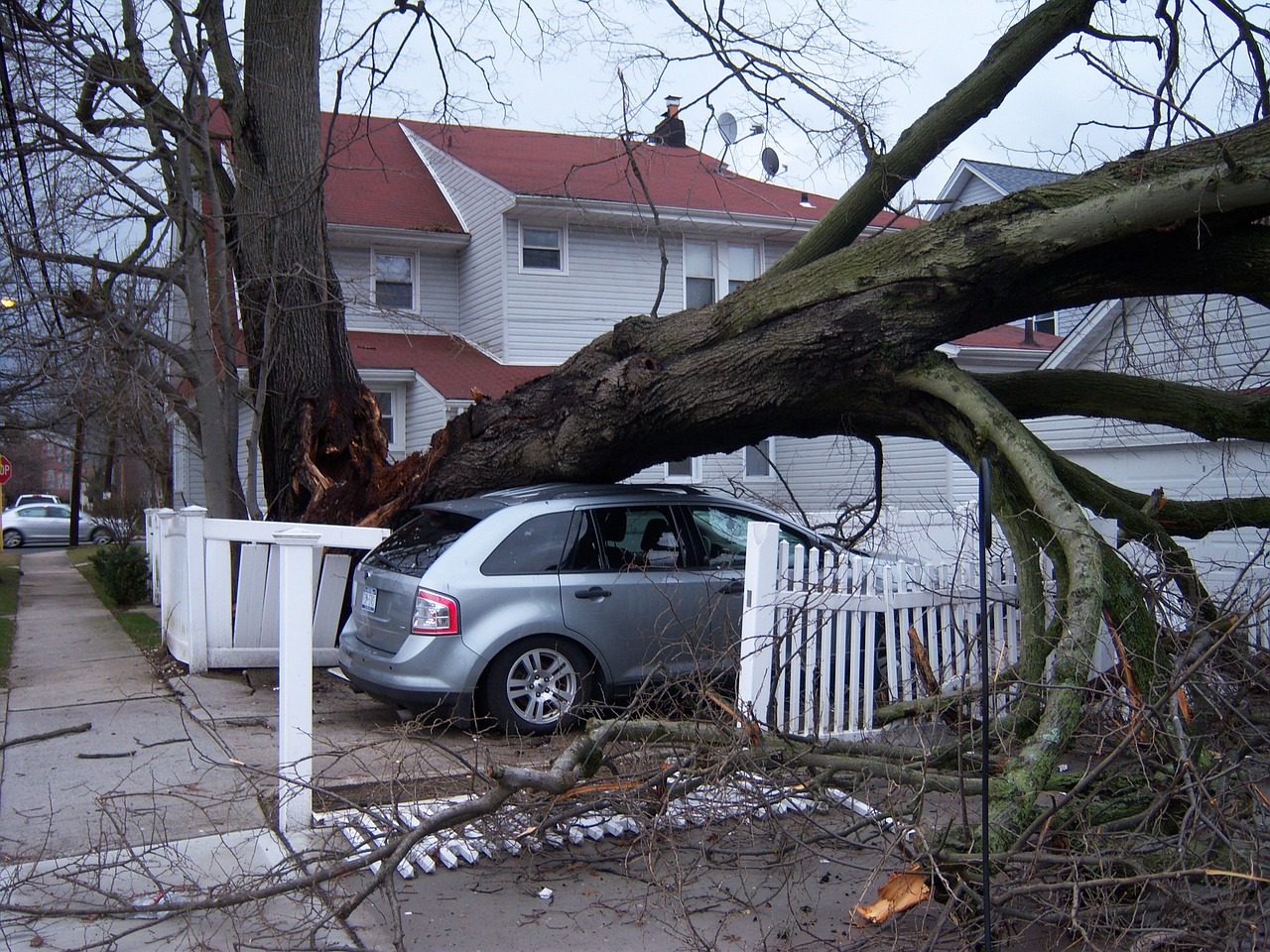 Audra,  Žalą,  Uraganas,  Vėjas,  Nelaimė,  Draudimas,  Sunaikinimas,  Namas,  Tornadas,  Medis