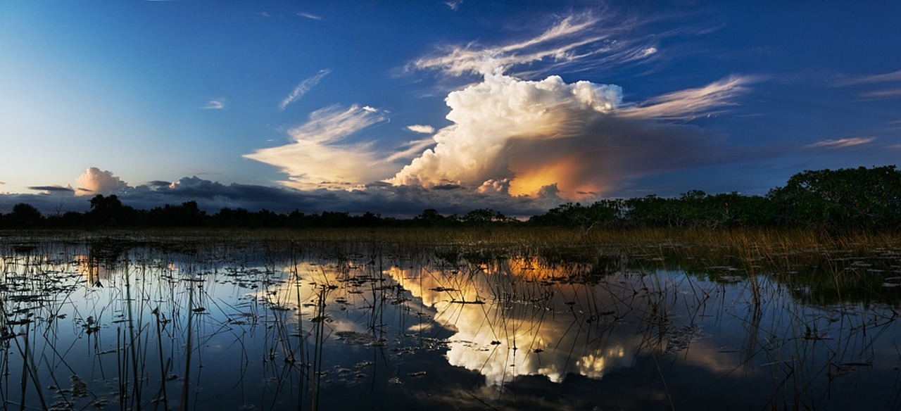 Audros Debesys, Everglades, Pelkė, Pelkės, Kraštovaizdis, Vanduo, Atspindys, Gamta, Oras, Lietus