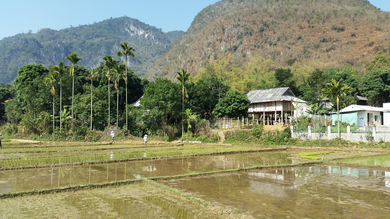 Šnipštimas, Mai Chau, Hao Binh, Nemokamos Nuotraukos,  Nemokama Licenzija