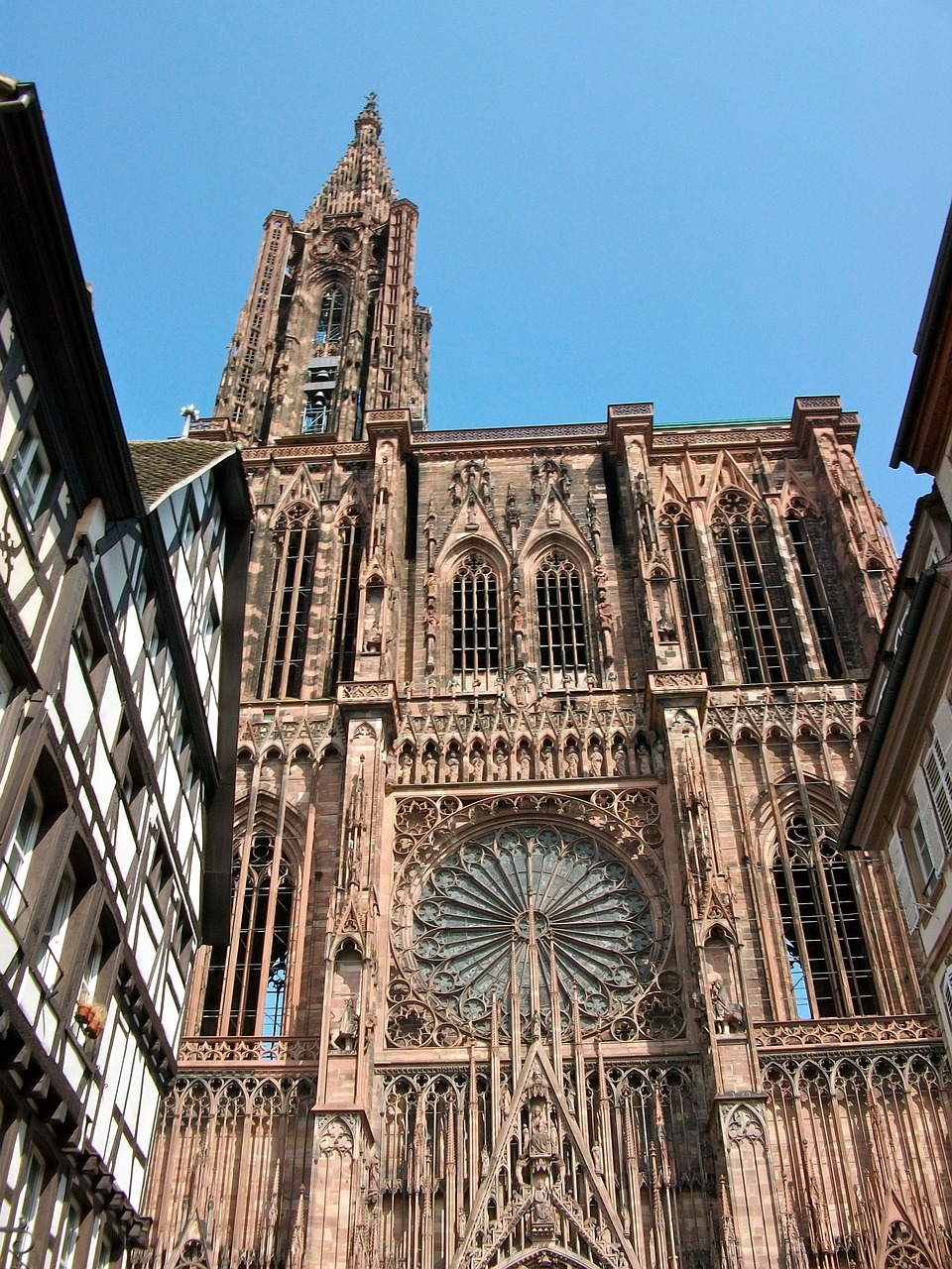 Strasbourg, Katedra, Rozetė, Nemokamos Nuotraukos,  Nemokama Licenzija