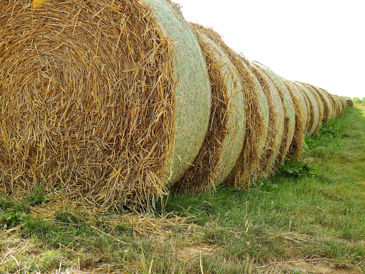 Šiaudai, Laukas, Žemdirbystė, Šiaudai, Rutuliai, Kraštovaizdis, Šieno Ryšulius, Gamta, Ritinys, Maistas