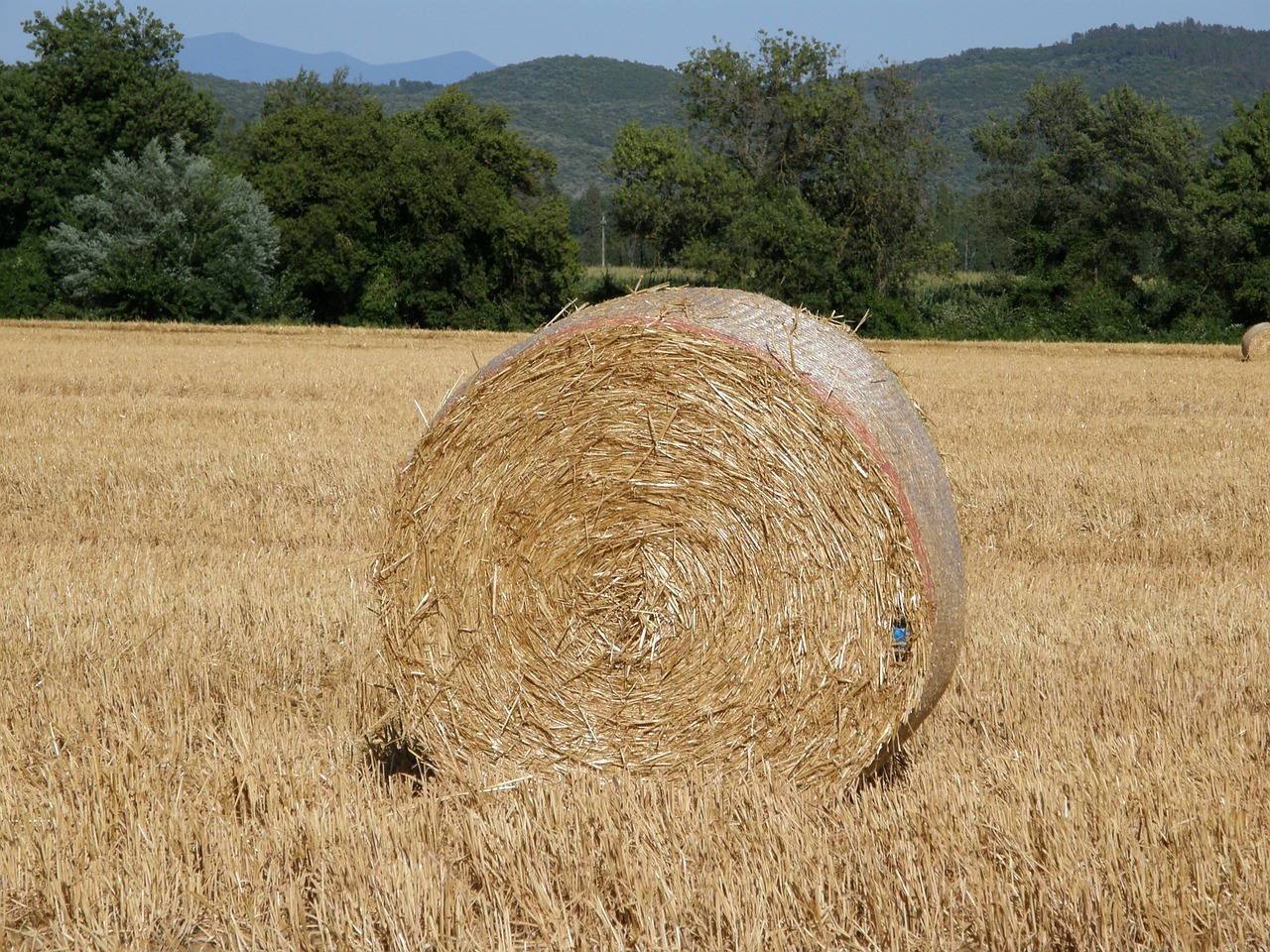 Šiaudai, Gamta, Laukai, Toskana, Kraštovaizdis, Nemokamos Nuotraukos,  Nemokama Licenzija