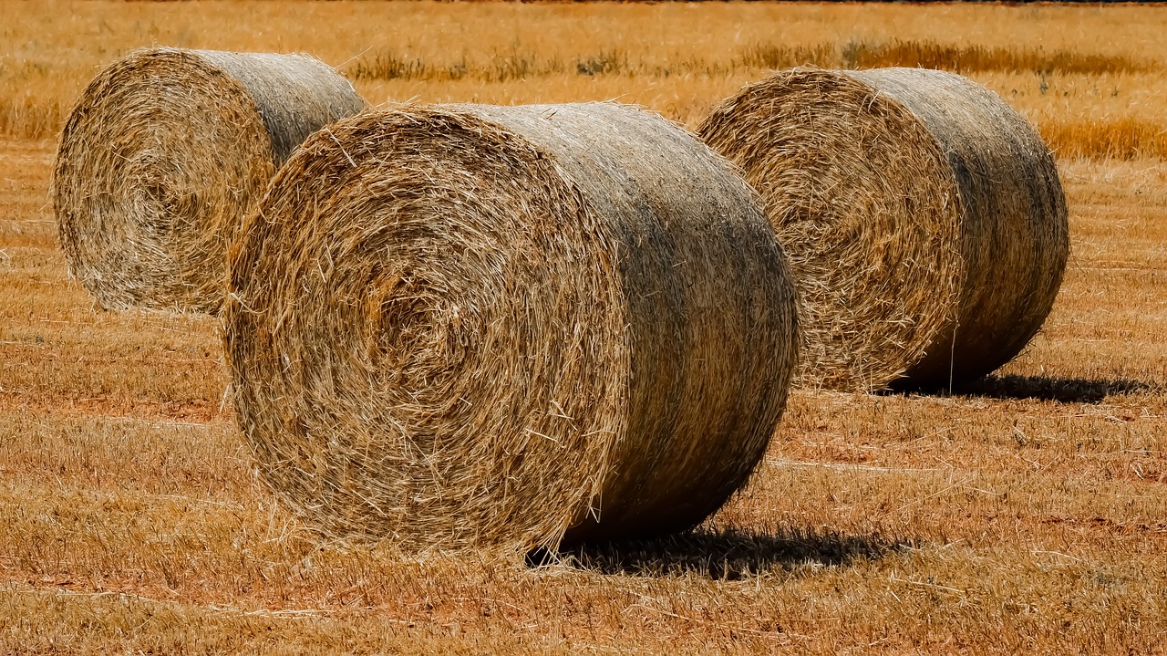 Šiaudų,  Hay,  Pobūdį,  Žemdirbystė,  Ūkis,  Laukas,  Kaimo,  Derlius,  Pasėlių,  Žemės Ūkio