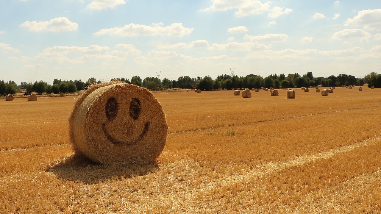 Šiaudų,  Halmballe,  Žemdirbystė,  Derlius,  Vasara,  Laimingas,  Smiley,  Geltona,  Strohballen, Nemokamos Nuotraukos