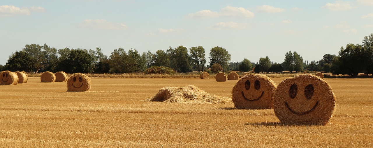 Šiaudų,  Halmballe,  Žemdirbystė,  Derlius,  Vasara,  Laimingas,  Smiley,  Geltona,  Strohballen, Nemokamos Nuotraukos