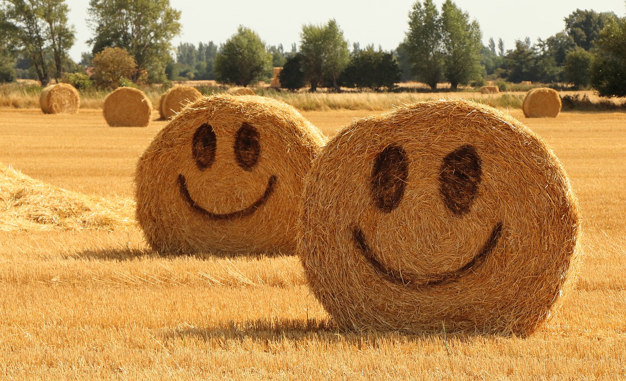 Šiaudų,  Halmballe,  Žemdirbystė,  Derlius,  Vasara,  Laimingas,  Smiley,  Geltona,  Strohballen,  Nuotaika