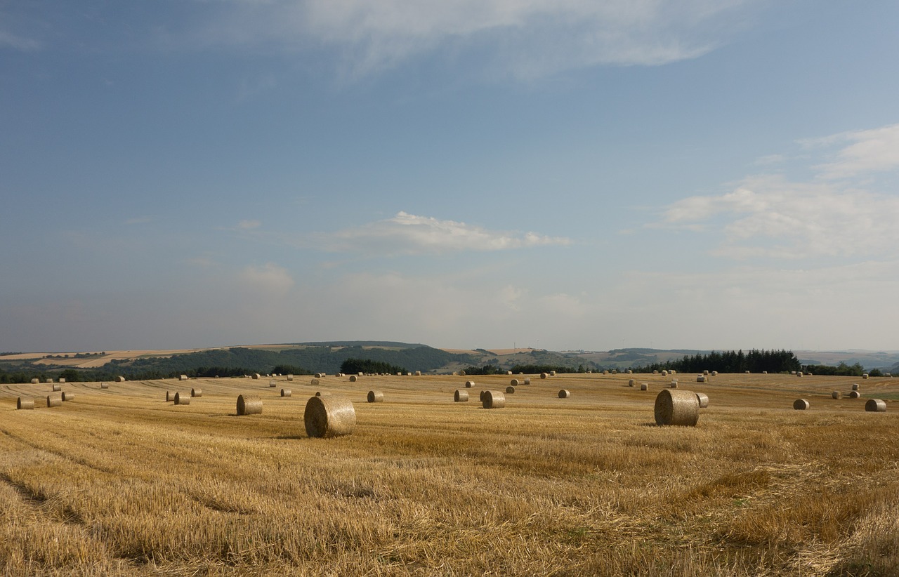 Šiaudai, Laukas, Pieva, Rutuliai, Kvadrantas, Šienas, Ariamasis, Žemdirbystė, Kraštovaizdis, Žalias