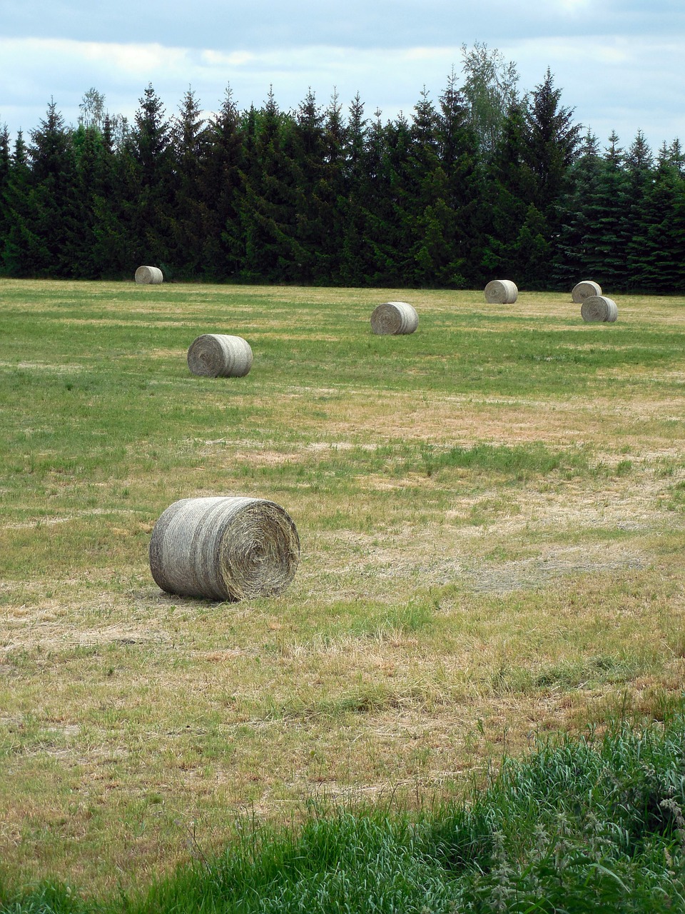 Šiaudai, Šiaudai, Žemdirbystė, Šienas, Šieno Ryšulius, Derlius, Laukas, Kiškis, Derlius, Rutuliai