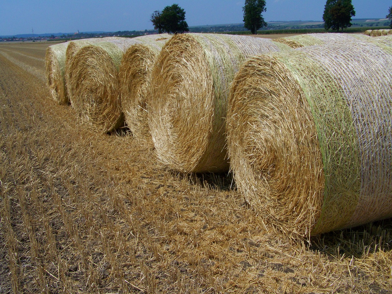 Šiaudai, Paruoštas Kviečių Laukas, Žemdirbystė, Vasara, Nemokamos Nuotraukos,  Nemokama Licenzija