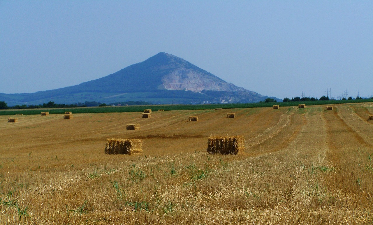 Šiaudų Kubeliai, Paruoštas Kviečių Laukas, Žemdirbystė, Nemokamos Nuotraukos,  Nemokama Licenzija