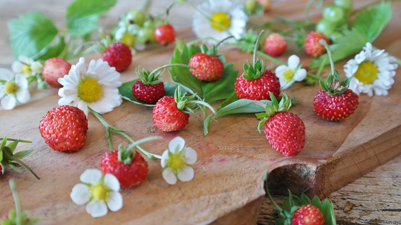 Braškės, Laukinės Braškės, Daisy, Natiurmortas, Uždaryti, Saldus, Vaisiai, Uogos, Raudona, Prinokę