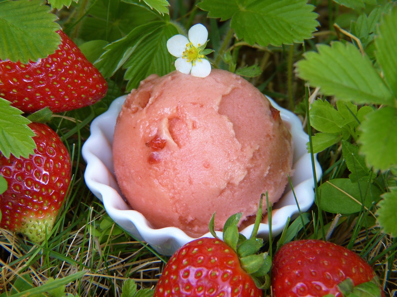 Braškiniai Ledai , Braškės, Ledai, Gamta, Sodas, Out, Lapai, Braškių Augalai, Žiedas, Žydėti