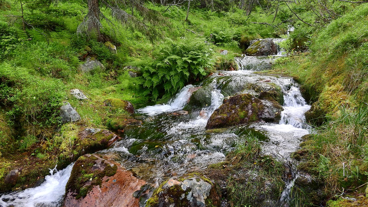 Srautas, Torrent, Upelis, Kalnas, Upelio Lova, Teka, Lovoje, Sånfjället, Nemokamos Nuotraukos,  Nemokama Licenzija