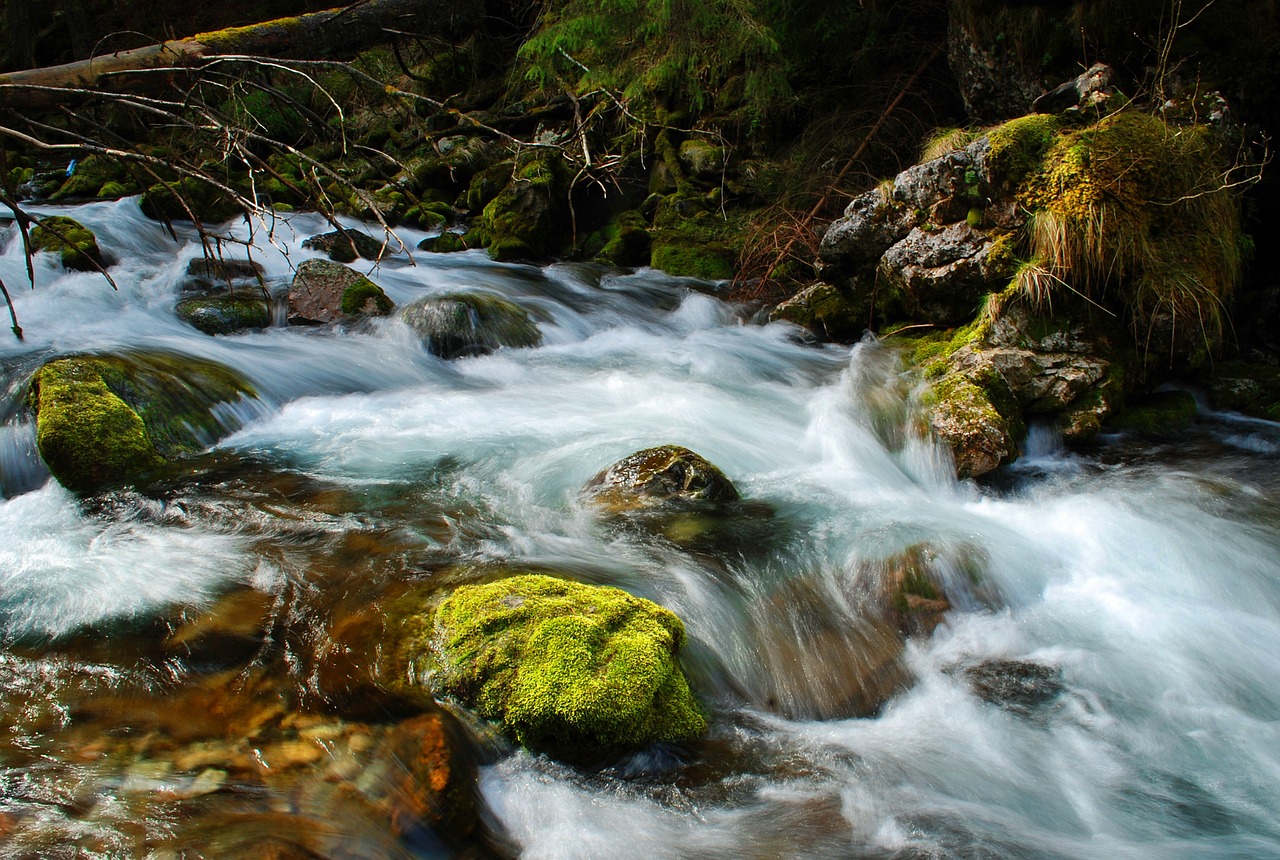 Srautas, Torrent, Upė, Tatry, Lenkija, Vanduo, Akmenys, Kalnai, Medis, Upelis