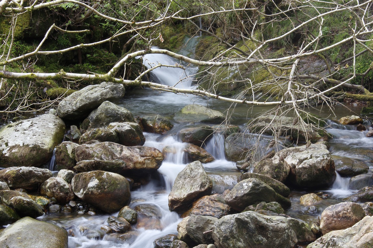 Srautas, Upelis, Srautas, Vanduo, Gamta, Airija, Wicklow, Glendalough, Airiškas, Žalias