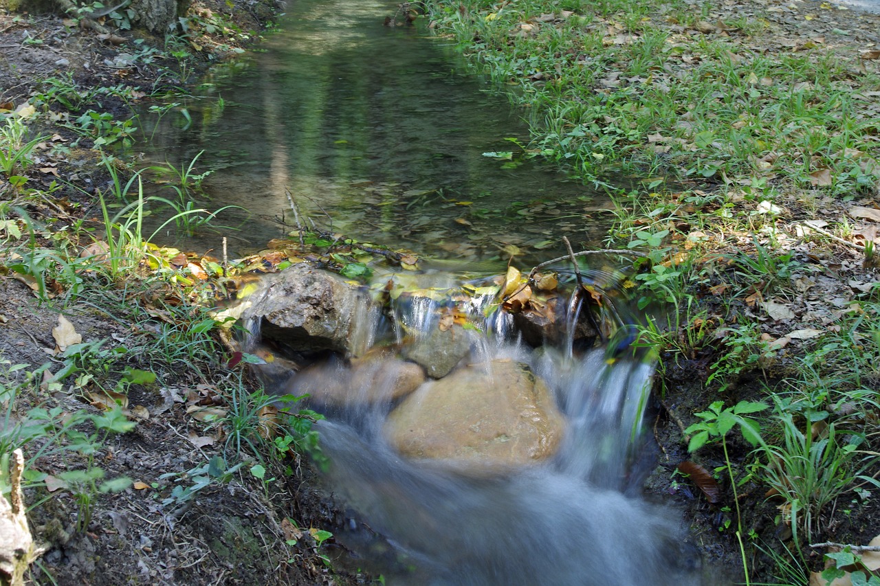 Srautas, Vanduo, Miškas, Orsomarso, Kalabrija, Į Mišką, Gamta, Žalias, Nemokamos Nuotraukos,  Nemokama Licenzija