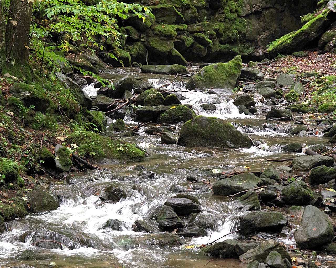 Srautas, Torrent, Kalnas, Vanduo, Skystas, Kaskados, Šlapias, Kalnai, Ruduo, Lapija