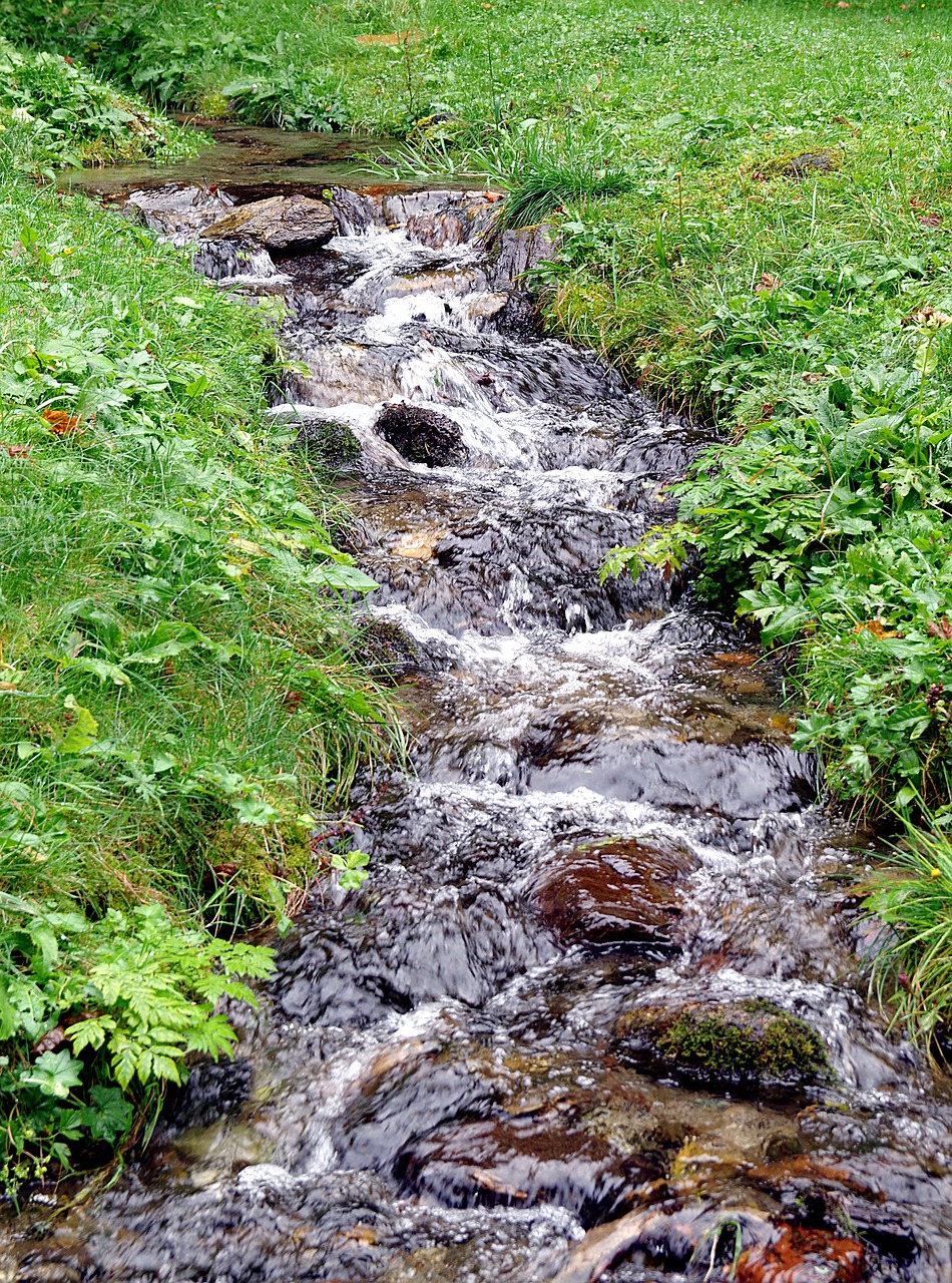 Srautas, Torrent, Kalnas, Vanduo, Skystas, Kaskados, Šlapias, Kalnai, Ruduo, Lapija