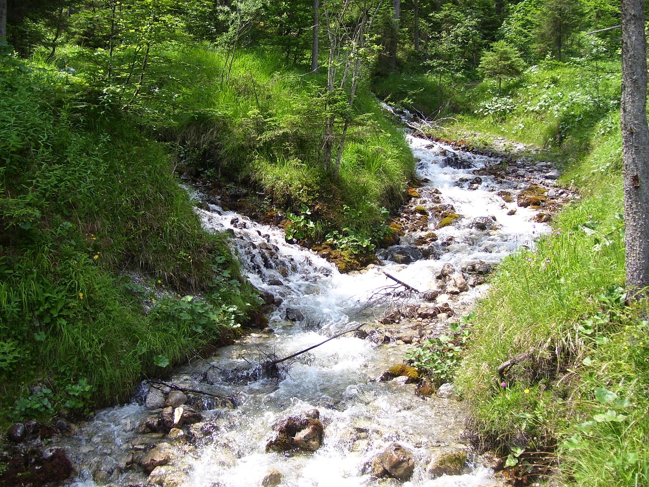 Srautas, Kalnai, Vanduo, Nemokamos Nuotraukos,  Nemokama Licenzija