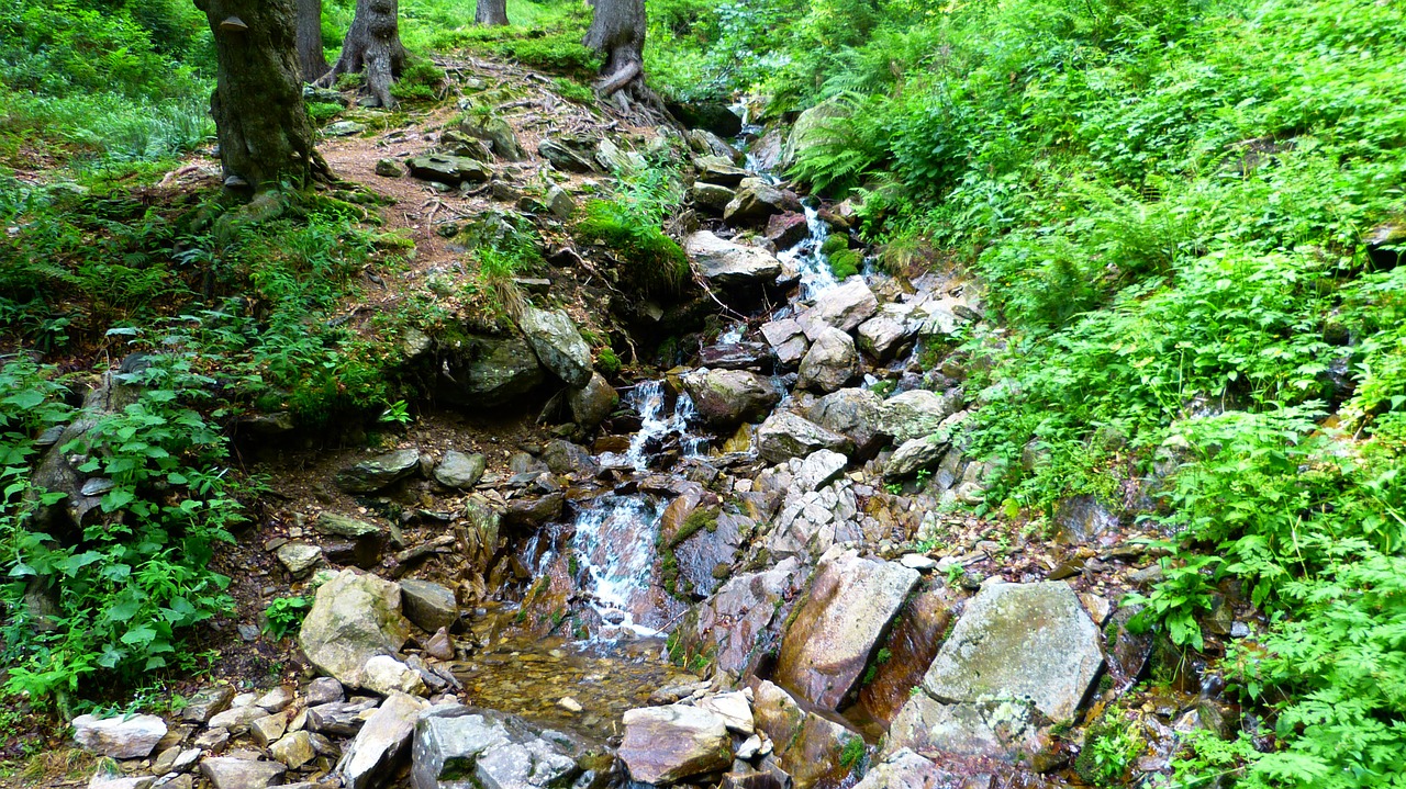 Srautas, Miškas, Vanduo, Torrent, Akmenys, Bankas, Lovoje, Upelio Lova, Teka, Akmeninis