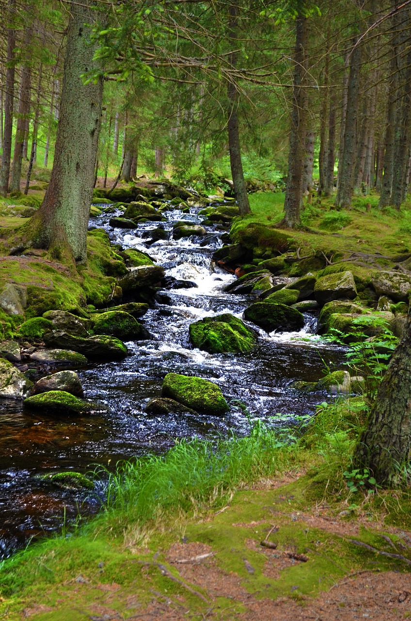 Srautas,  Gamta,  Miškas,  Vanduo,  Akmenys,  Kraštovaizdis,  Bankas,  Šumava, Nemokamos Nuotraukos,  Nemokama Licenzija